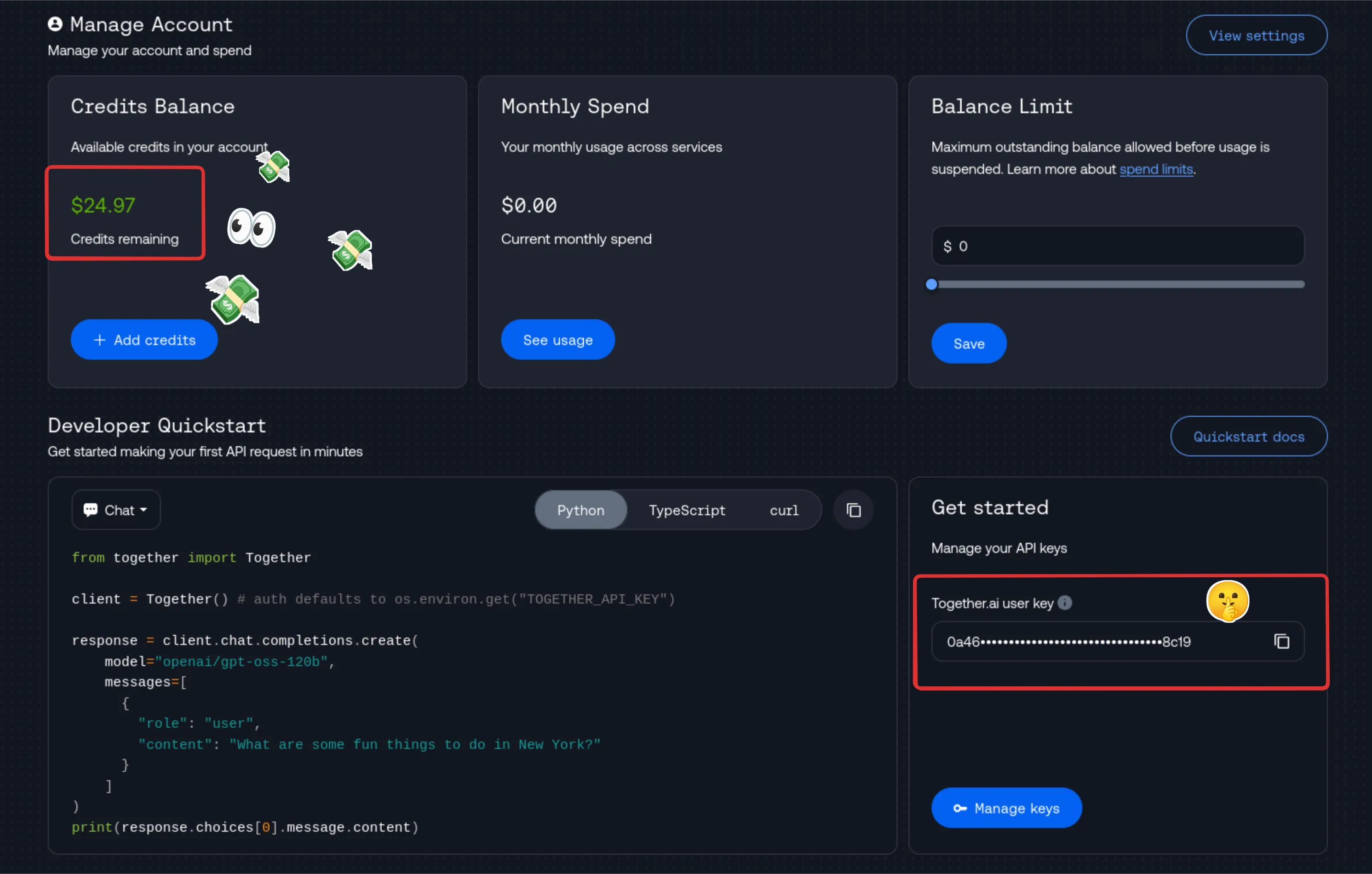 Together AI dashboard